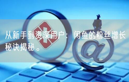 从新手到资深用户：闲鱼的粉丝增长秘诀揭秘。
