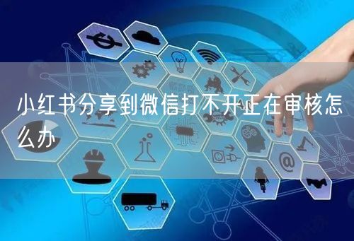 小红书分享到微信打不开正在审核怎么办