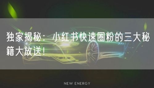 独家揭秘：小红书快速圈粉的三大秘籍大放送！