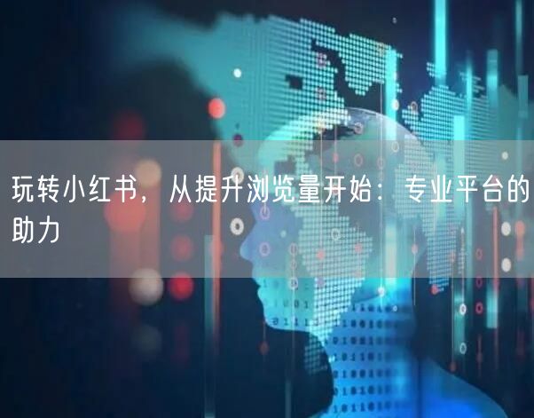 玩转小红书，从提升浏览量开始：专业平台的助力