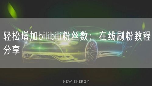 轻松增加bilibili粉丝数:在线刷粉教程分享