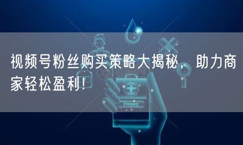 视频号粉丝购买策略大揭秘，助力商家轻松盈利！