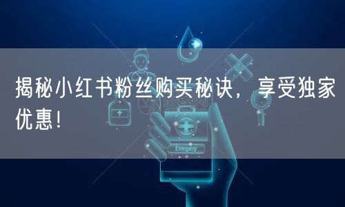 揭秘小红书粉丝购买秘诀，享受独家优惠！