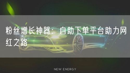 粉丝增长神器：自助下单平台助力网红之路