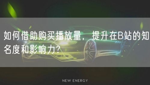 如何借助购买播放量，提升在B站的知名度和影响力？