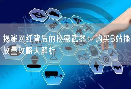 揭秘网红背后的秘密武器：购买B站播放量攻略大解析