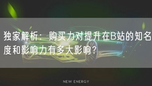 独家解析：购买力对提升在B站的知名度和影响力有多大影响？