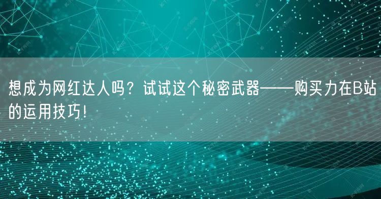 想成为网红达人吗？试试这个秘密武器——购买力在B站的运用技巧！