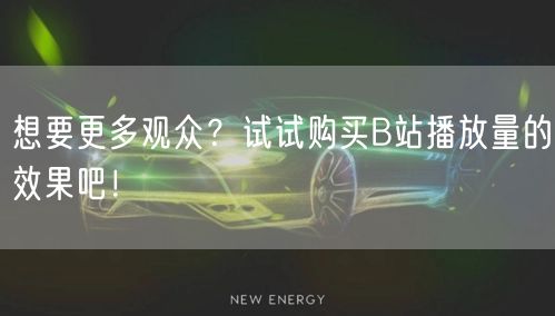 想要更多观众？试试购买B站播放量的效果吧！