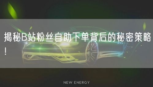 揭秘B站粉丝自助下单背后的秘密策略！