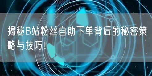 揭秘B站粉丝自助下单背后的秘密策略与技巧！