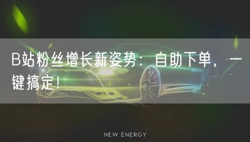 B站粉丝增长新姿势：自助下单，一键搞定！