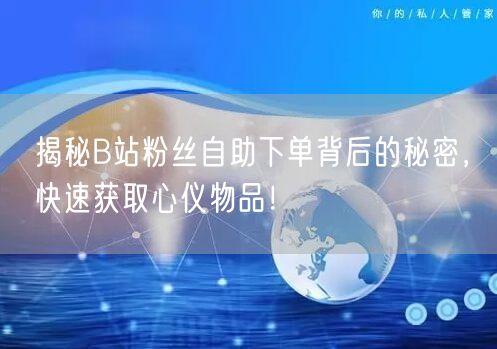揭秘B站粉丝自助下单背后的秘密，快速获取心仪物品！