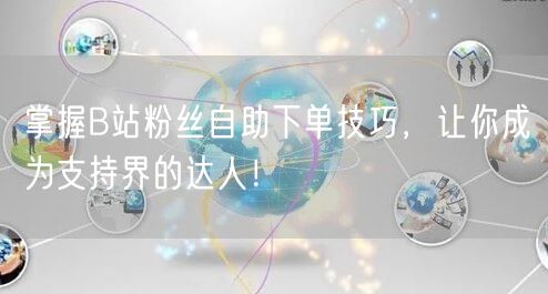 掌握B站粉丝自助下单技巧，让你成为支持界的达人！