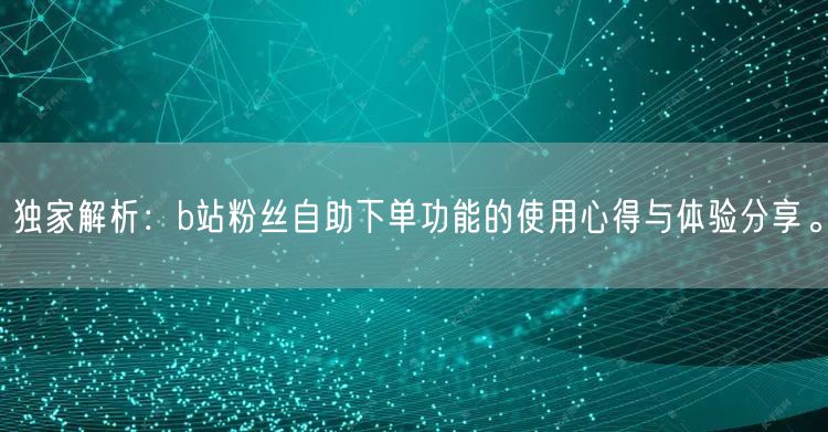 独家解析：b站粉丝自助下单功能的使用心得与体验分享。