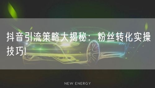 抖音引流策略大揭秘：粉丝转化实操技巧!