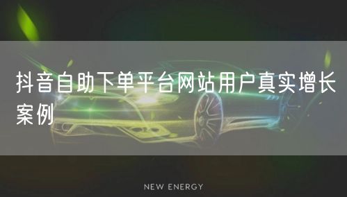 抖音自助下单平台网站用户真实增长案例