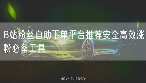 B站粉丝自助下单平台推荐安全高效涨粉必备工具