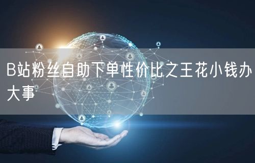 B站粉丝自助下单性价比之王花小钱办大事