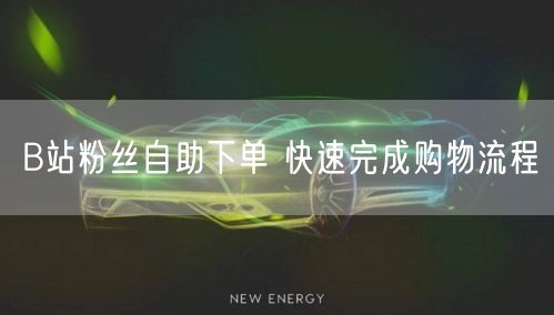 B站粉丝自助下单 快速完成购物流程