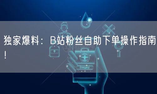 独家爆料：B站粉丝自助下单操作指南！