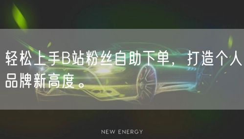 轻松上手B站粉丝自助下单，打造个人品牌新高度。