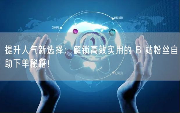 提升人气新选择：解锁高效实用的 B 站粉丝自助下单秘籍！