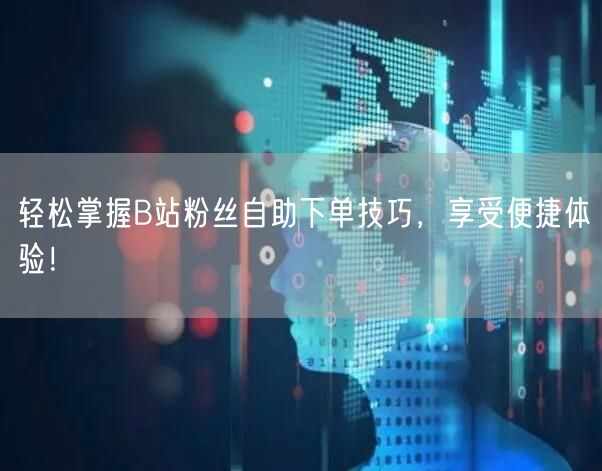 轻松掌握B站粉丝自助下单技巧，享受便捷体验！