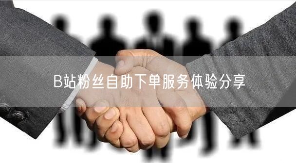 B站粉丝自助下单服务体验分享