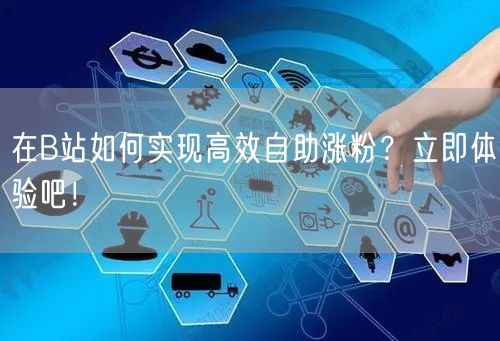 在B站如何实现高效自助涨粉？立即体验吧！