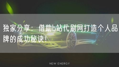 独家分享：借助b站代刷网打造个人品牌的成功秘诀！
