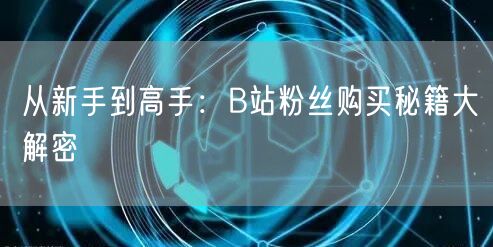从新手到高手：B站粉丝购买秘籍大解密