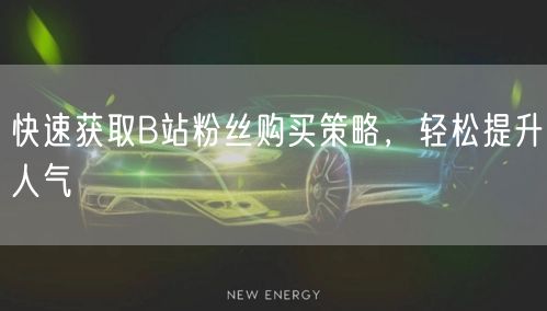 快速获取B站粉丝购买策略，轻松提升人气