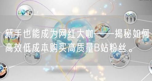 新手也能成为网红大咖——揭秘如何高效低成本购买高质量B站粉丝。
