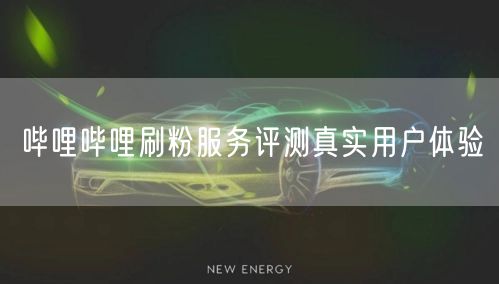 哔哩哔哩刷粉服务评测真实用户体验