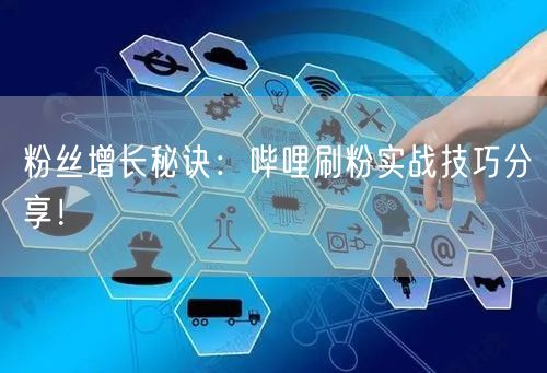 粉丝增长秘诀：哔哩刷粉实战技巧分享！