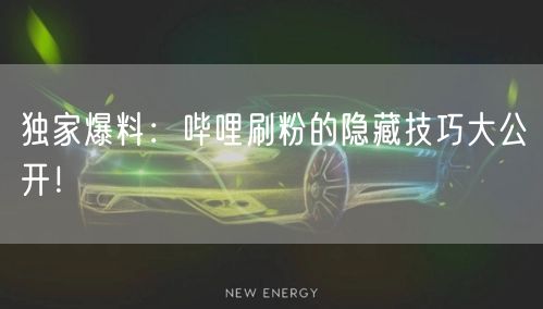 独家爆料:哔哩刷粉的隐藏技巧大公开!