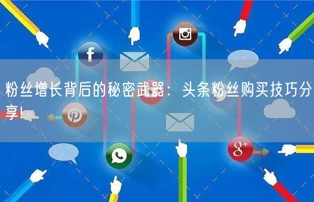 粉丝增长背后的秘密武器：头条粉丝购买技巧分享!