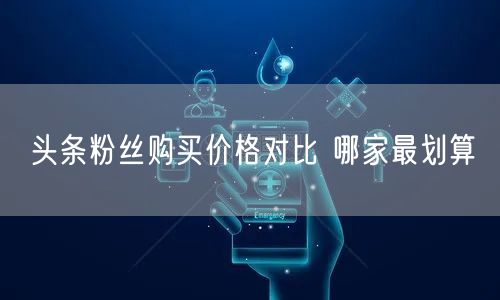 头条粉丝购买价格对比 哪家最划算