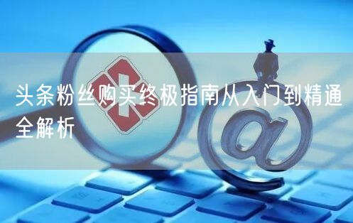 头条粉丝购买终极指南从入门到精通全解析