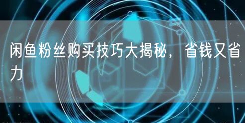 闲鱼粉丝购买技巧大揭秘，省钱又省力