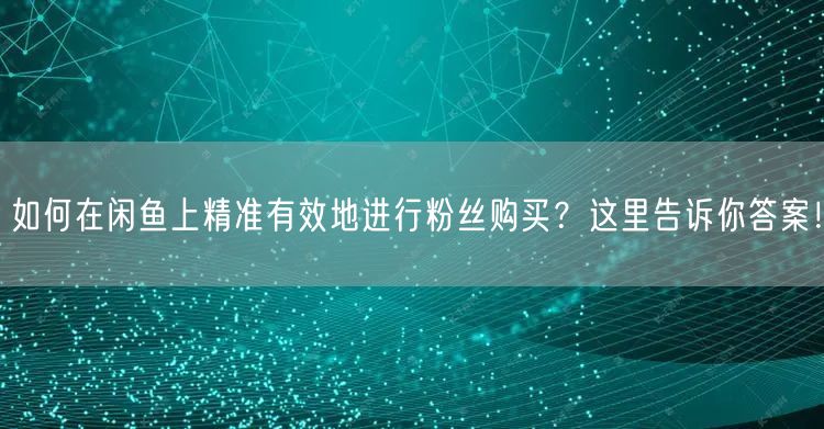 如何在闲鱼上精准有效地进行粉丝购买？这里告诉你答案！