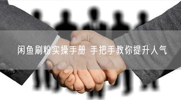 闲鱼刷粉实操手册 手把手教你提升人气