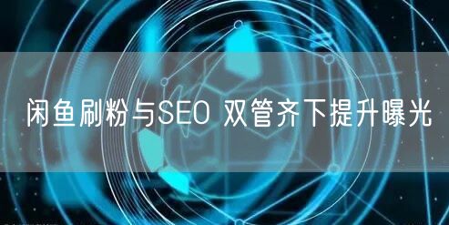 闲鱼刷粉与SEO 双管齐下提升曝光