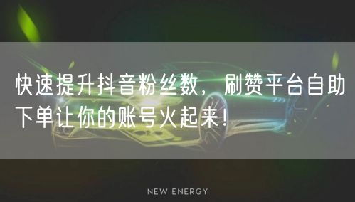 快速提升抖音粉丝数，刷赞平台自助下单让你的账号火起来！