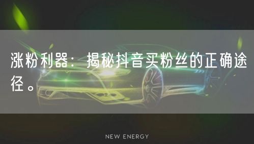 涨粉利器：揭秘抖音买粉丝的正确途径。