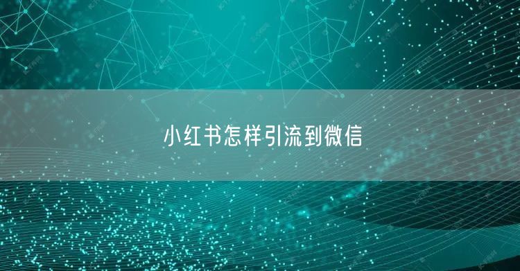 小红书怎样引流到微信