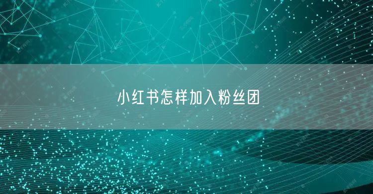 小红书怎样加入粉丝团