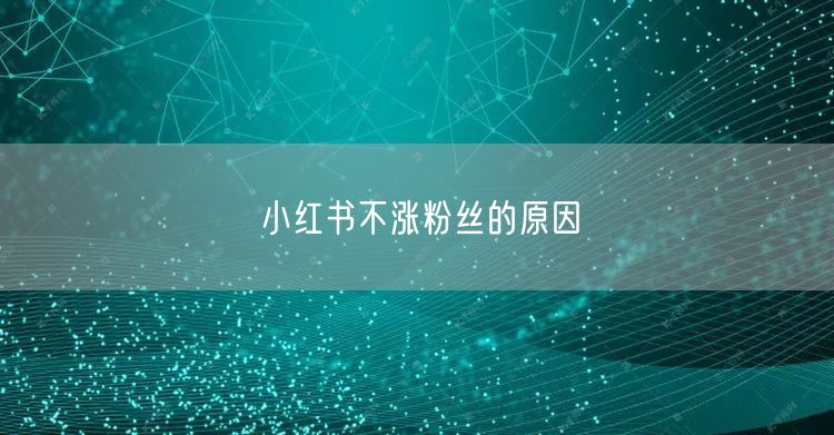 小红书不涨粉丝的原因