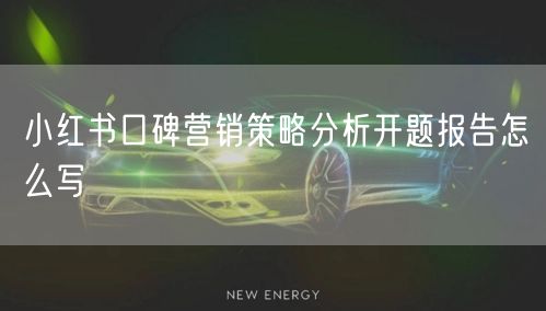 小红书口碑营销策略分析开题报告怎么写